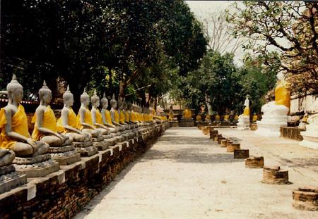 ayutthaya_budas